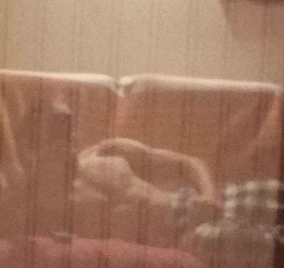 Profil de Maly, 39 ans, Rencontre gay à Farnern (Berne)